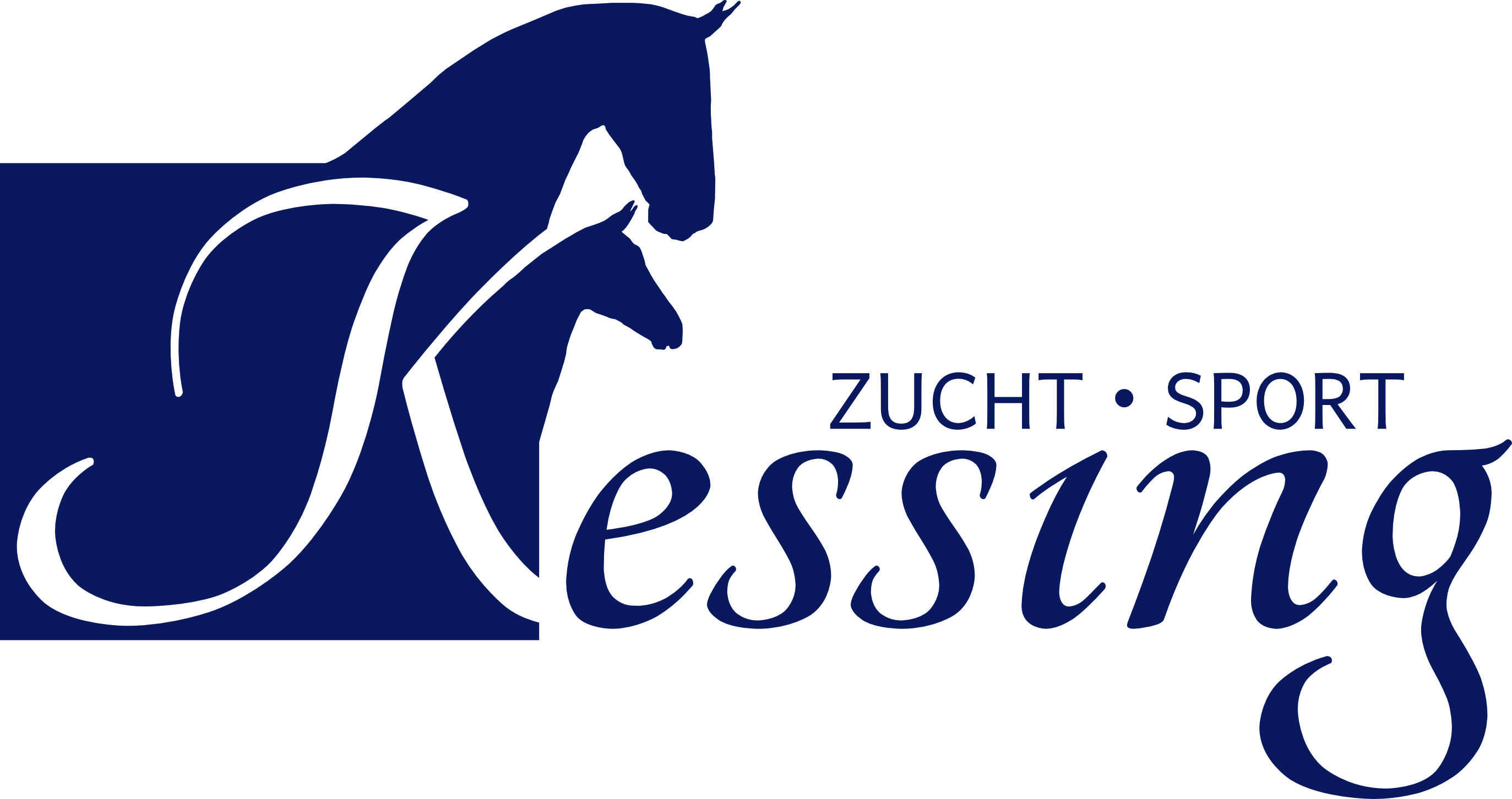 Maike Kessing Damme Pferde kaufen Pferdezucht Stuten Hengste Fohlen Pferd kaufen Stute kaufen Hengst kaufen